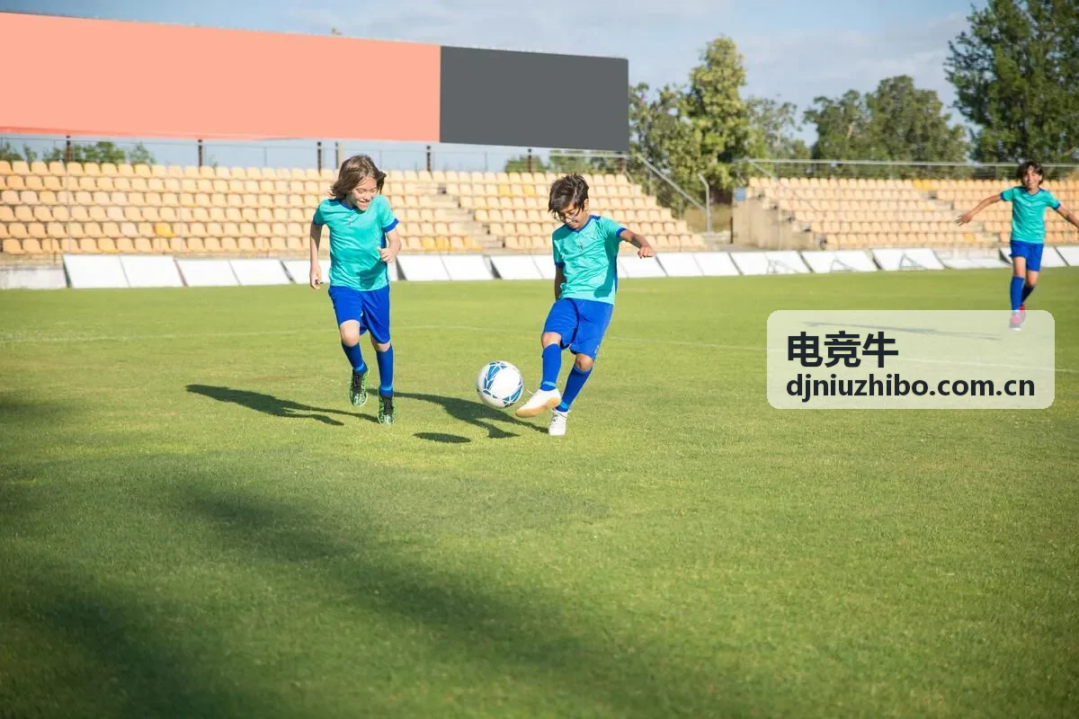 电竞牛赞助商分析
